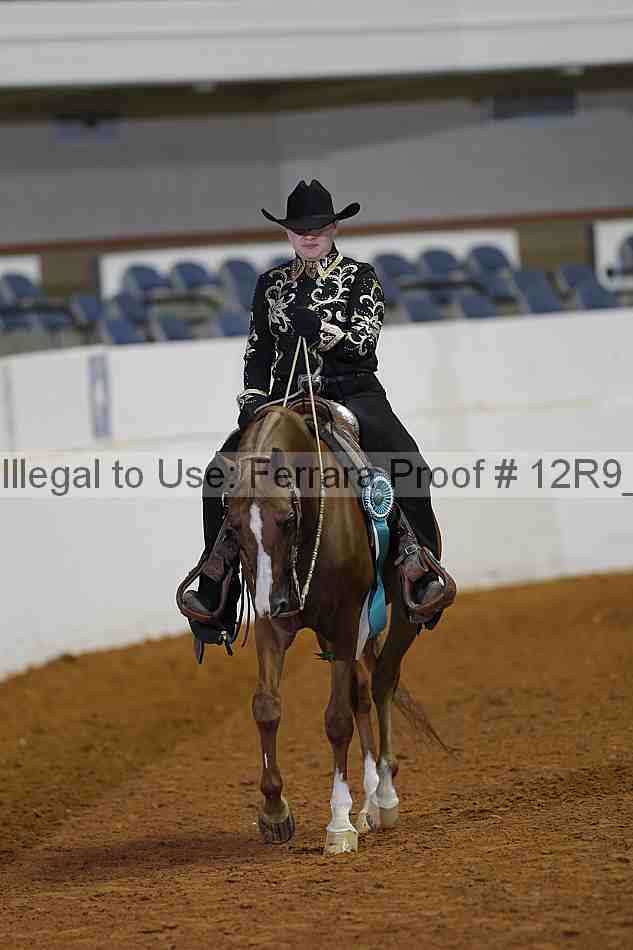 Proof Number 12r9_1431