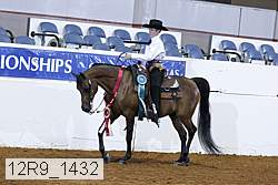 12r9_1432 thumbnail