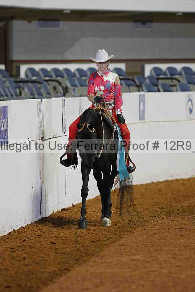 Proof Number 12r9_1435