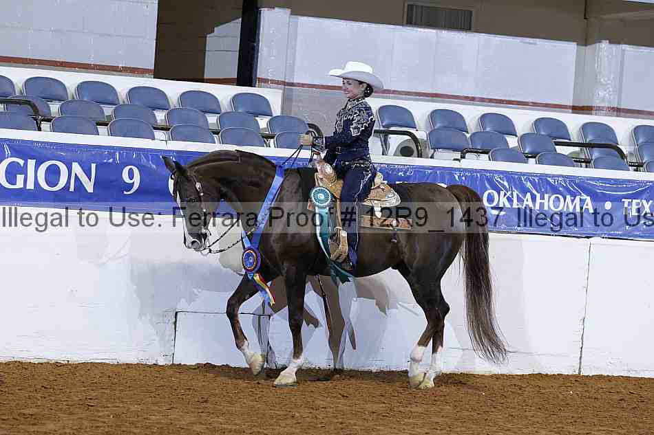 Proof Number 12r9_1437