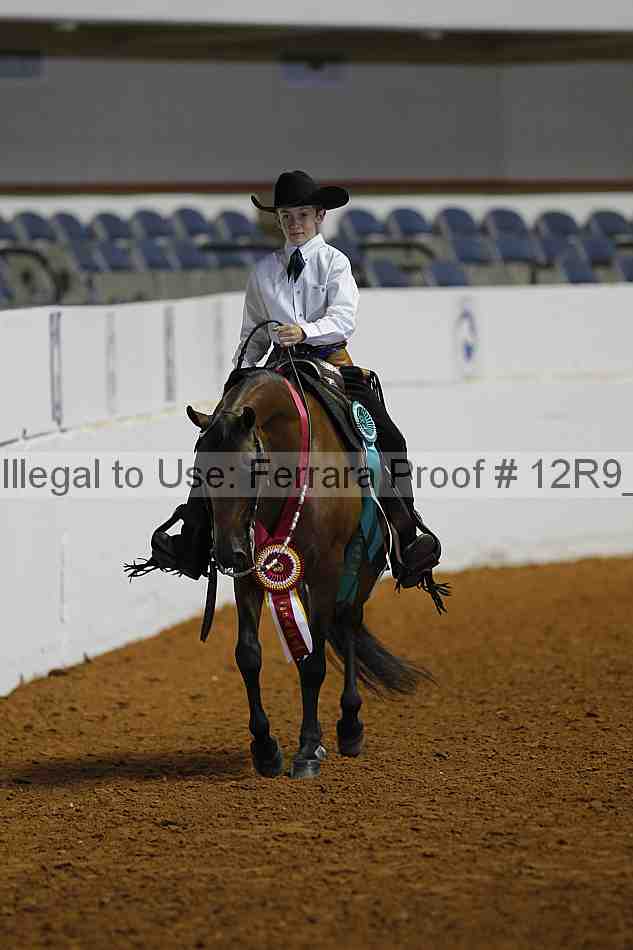 Proof Number 12r9_1439