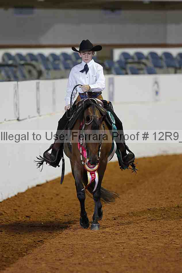 Proof Number 12r9_1440