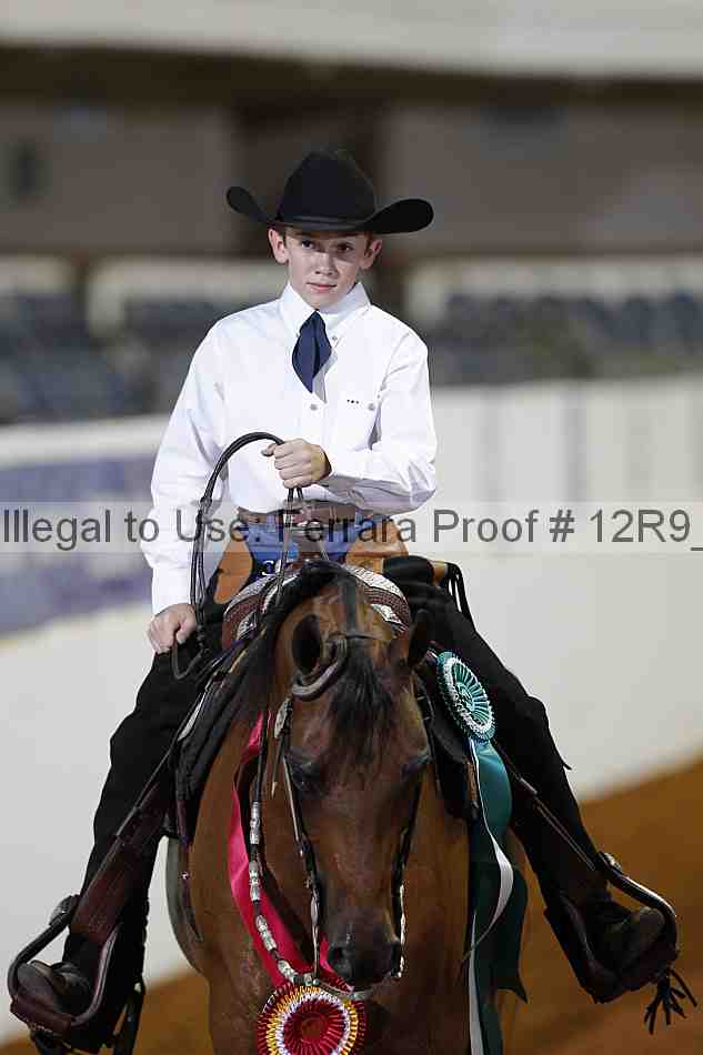 Proof Number 12r9_1442