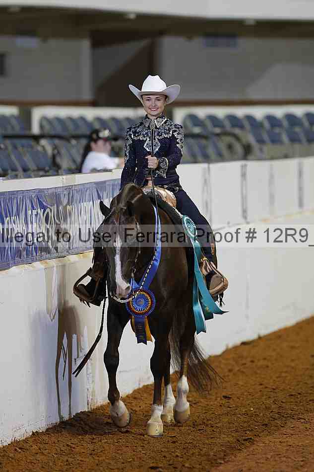 Proof Number 12r9_1445