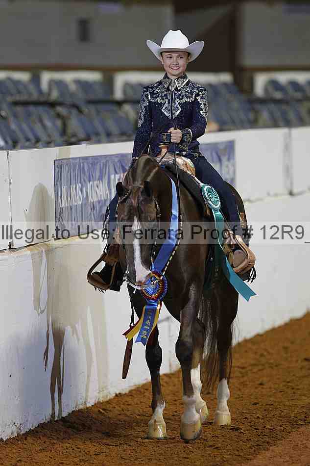 Proof Number 12r9_1446