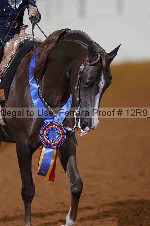 Proof Number 12r9_1447