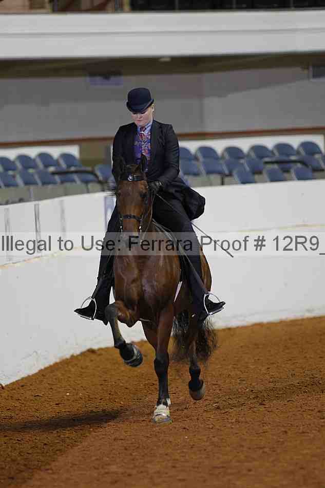 Proof Number 12r9_1458