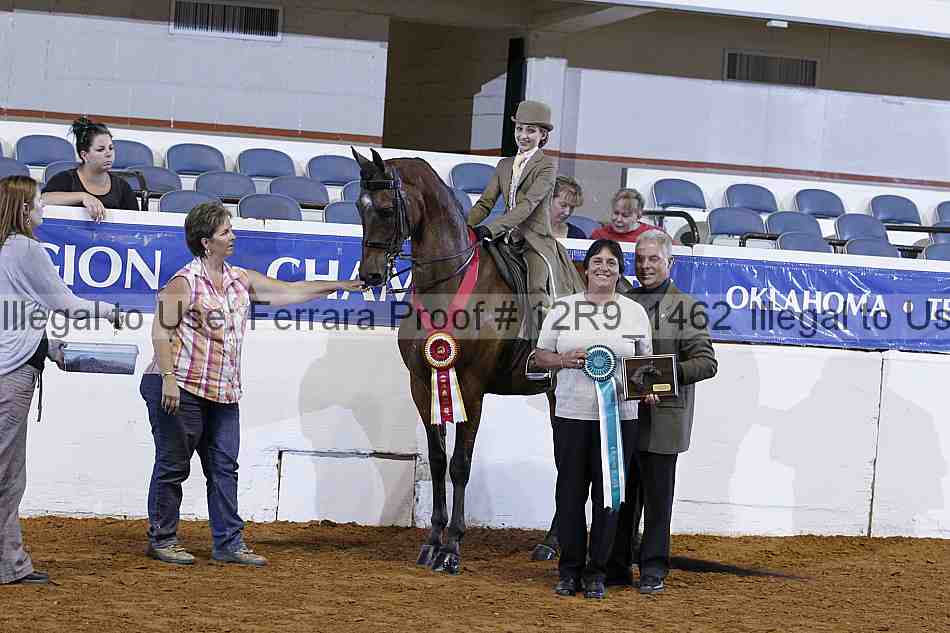 Proof Number 12r9_1462