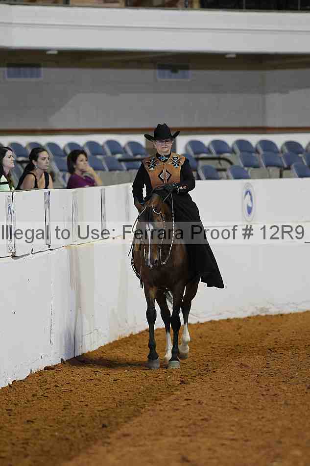 Proof Number 12r9_1504