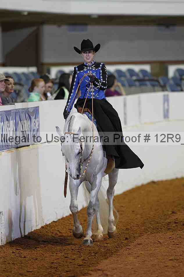 Proof Number 12r9_1516
