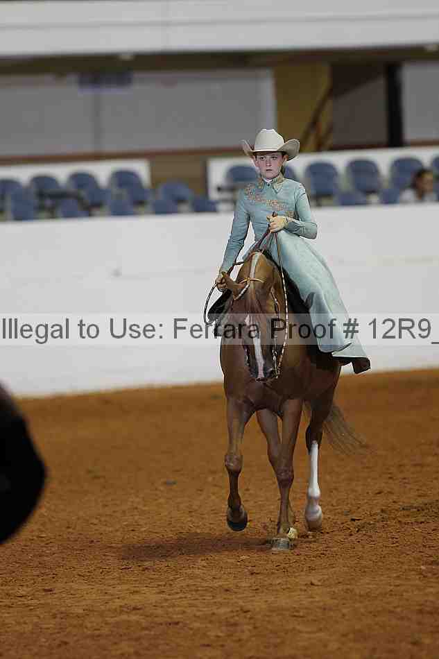 Proof Number 12r9_1525