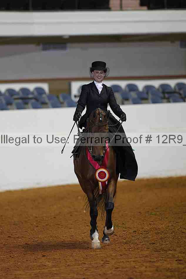 Proof Number 12r9_1560