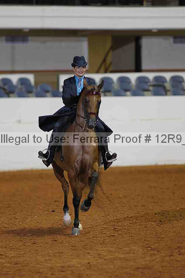 Proof Number 12r9_1577