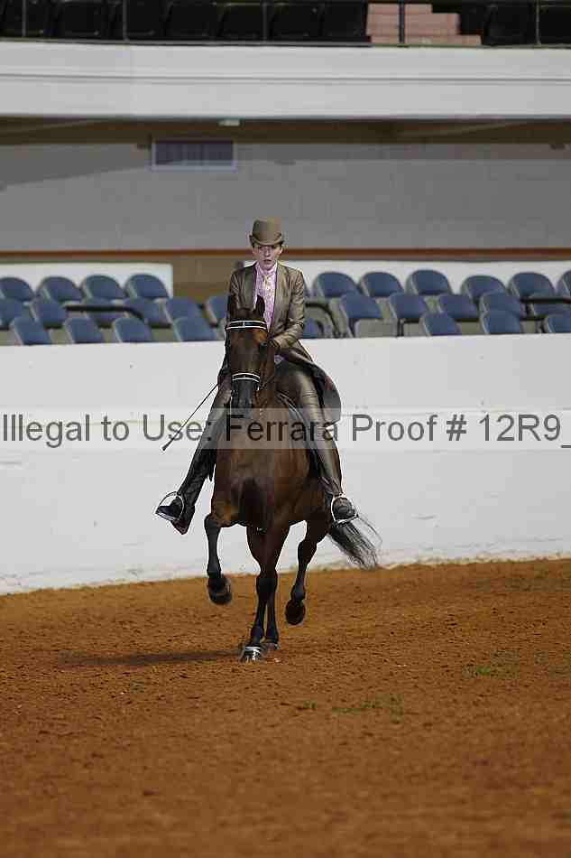 Proof Number 12r9_1581