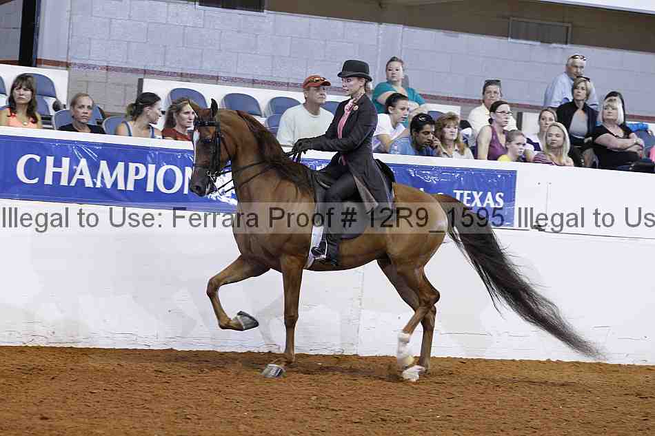 Proof Number 12r9_1595