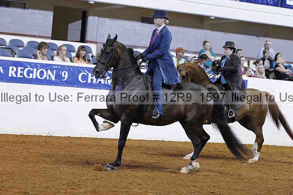 Proof Number 12r9_1597