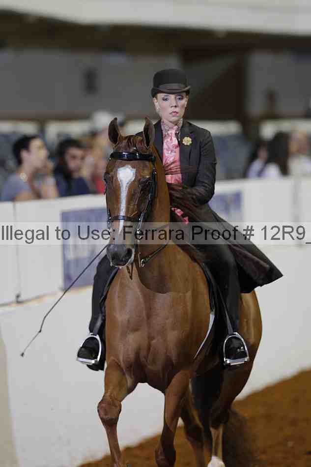 Proof Number 12r9_1600