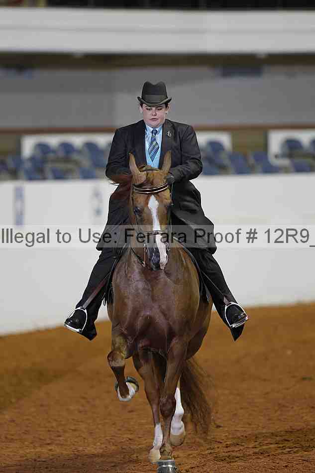 Proof Number 12r9_1602