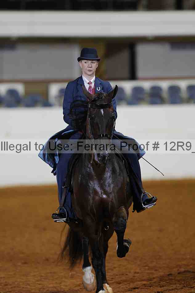 Proof Number 12r9_1603