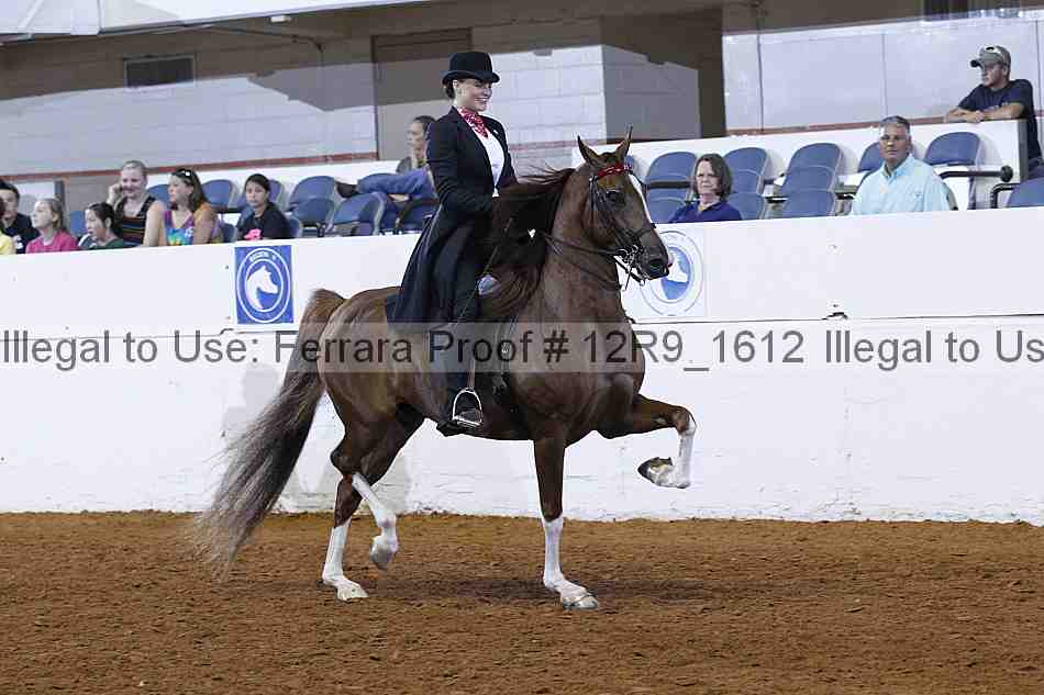 Proof Number 12r9_1612