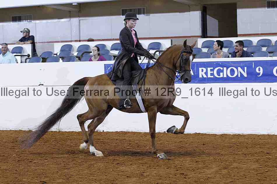 Proof Number 12r9_1614
