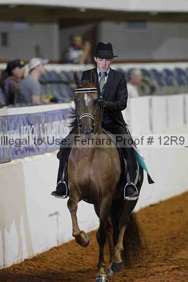 Proof Number 12r9_1646