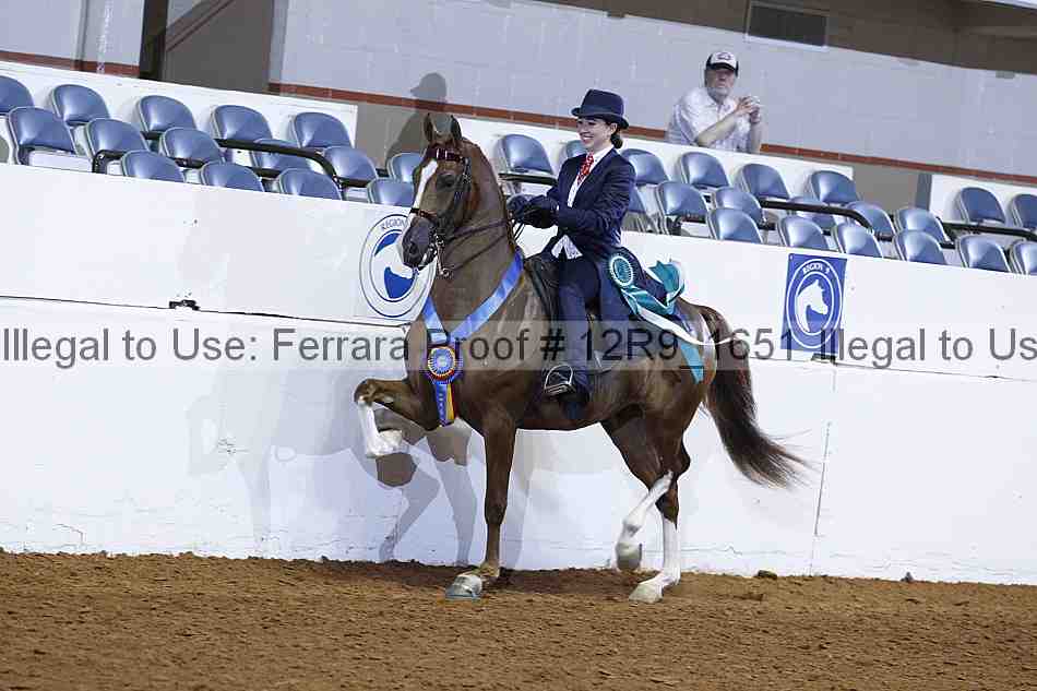 Proof Number 12r9_1651