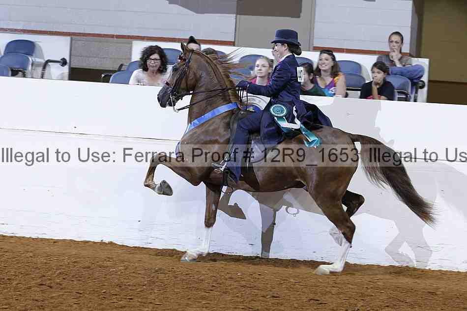 Proof Number 12r9_1653