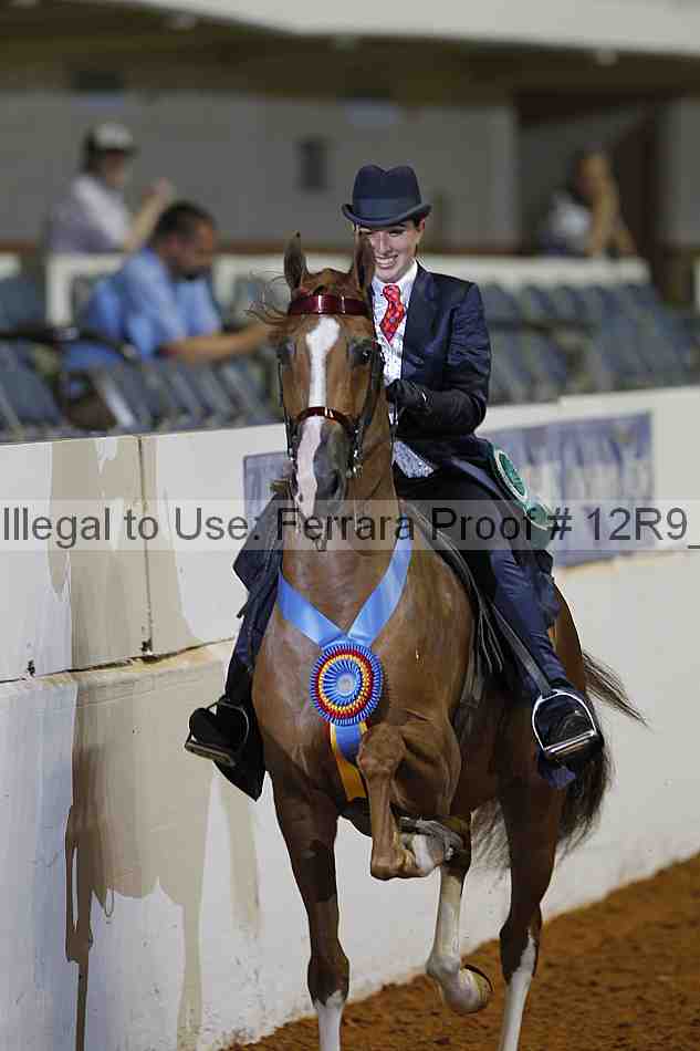 Proof Number 12r9_1659