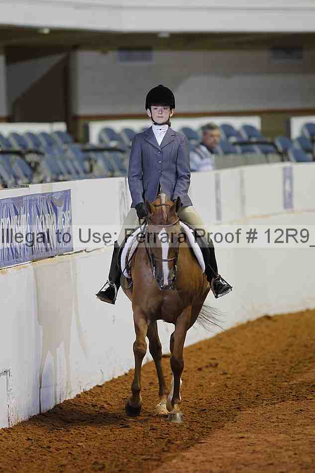 Proof Number 12r9_1670