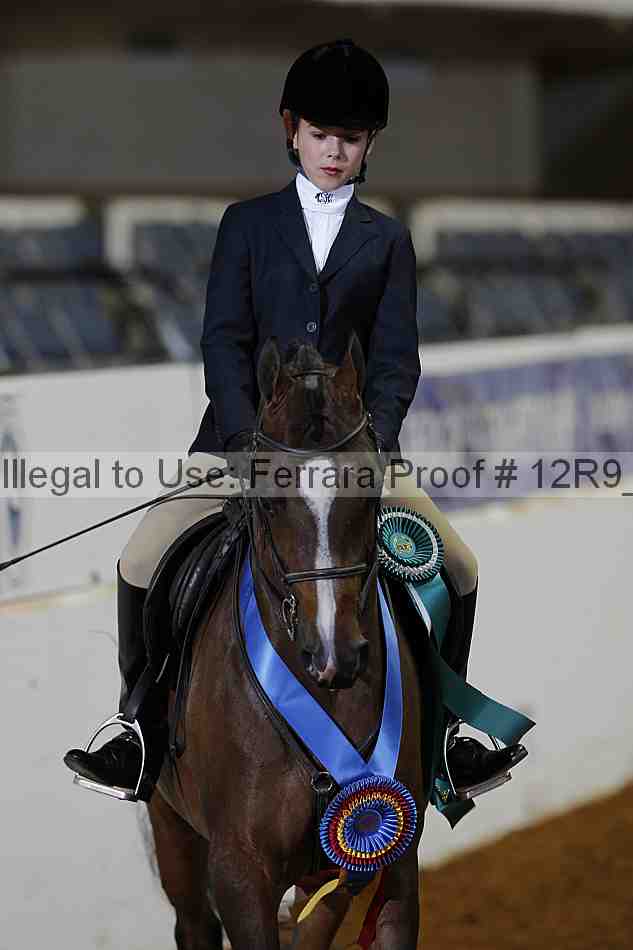 Proof Number 12r9_1684