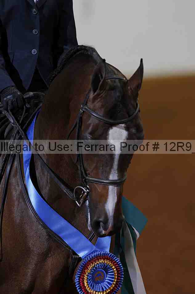 Proof Number 12r9_1686