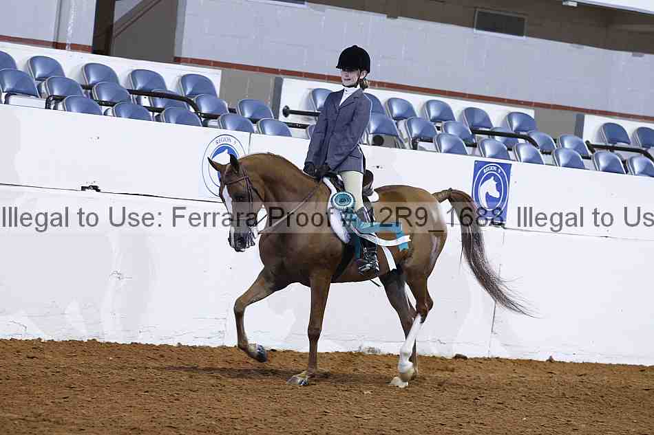 Proof Number 12r9_1688