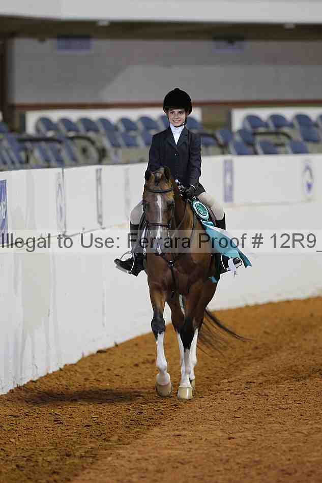 Proof Number 12r9_1693