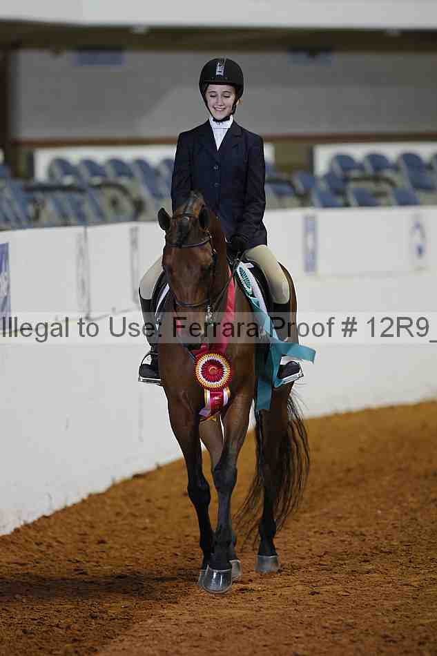 Proof Number 12r9_1698
