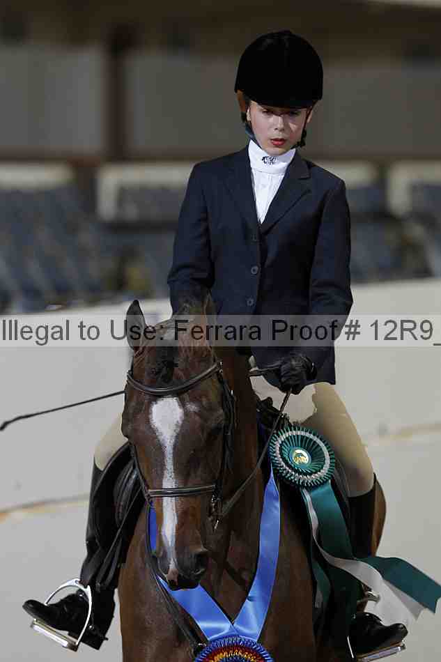 Proof Number 12r9_1701