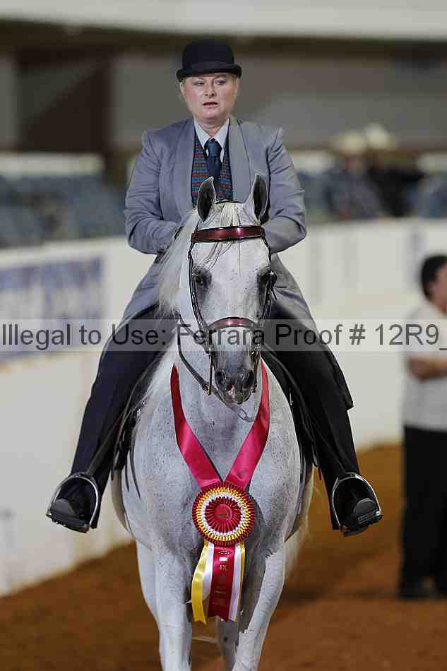 Proof Number 12r9_1719