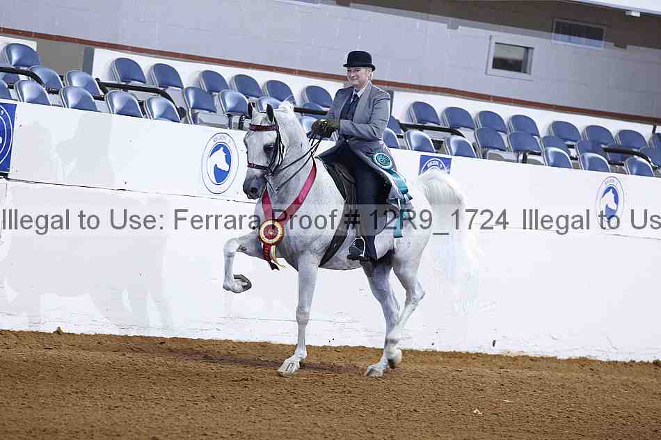 Proof Number 12r9_1724