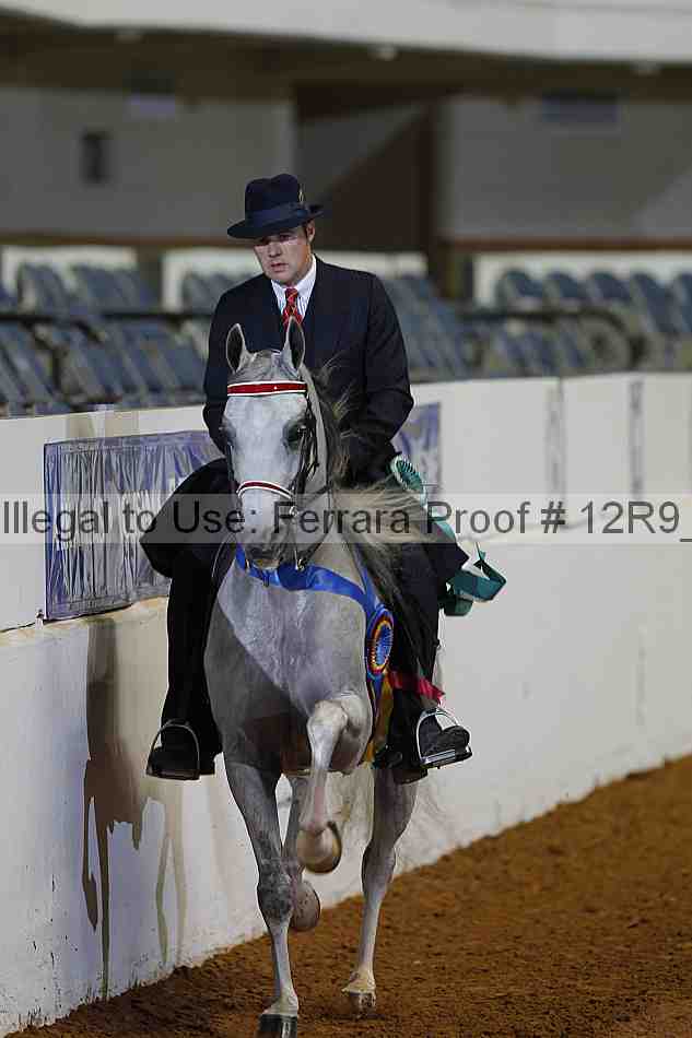 Proof Number 12r9_1736