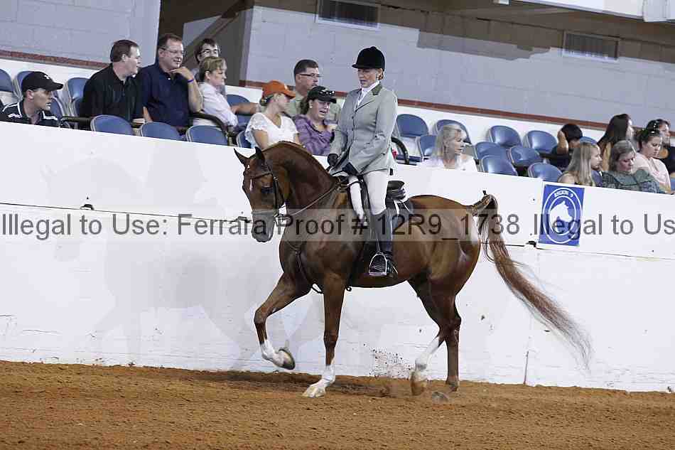 Proof Number 12r9_1738