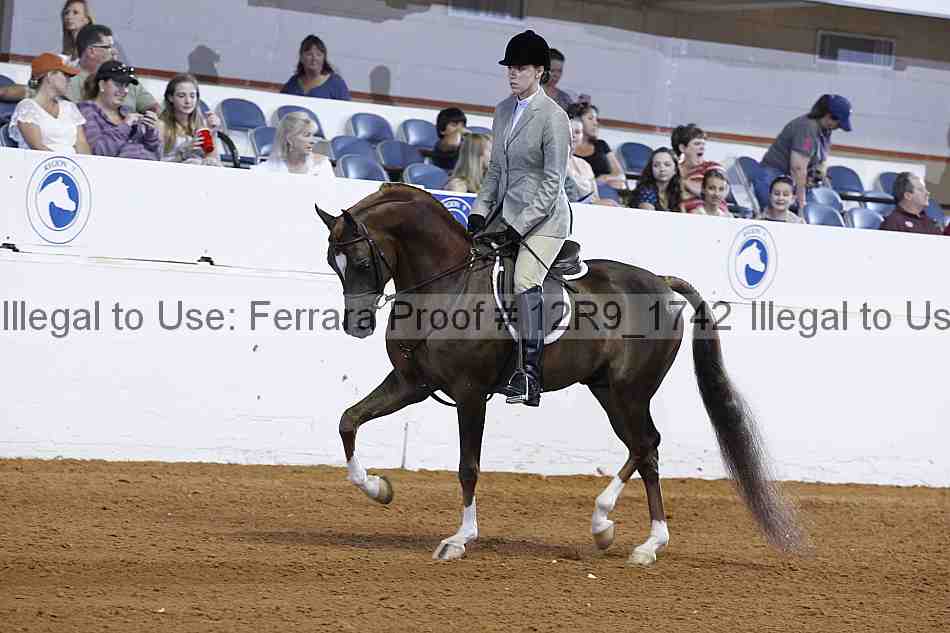 Proof Number 12r9_1742