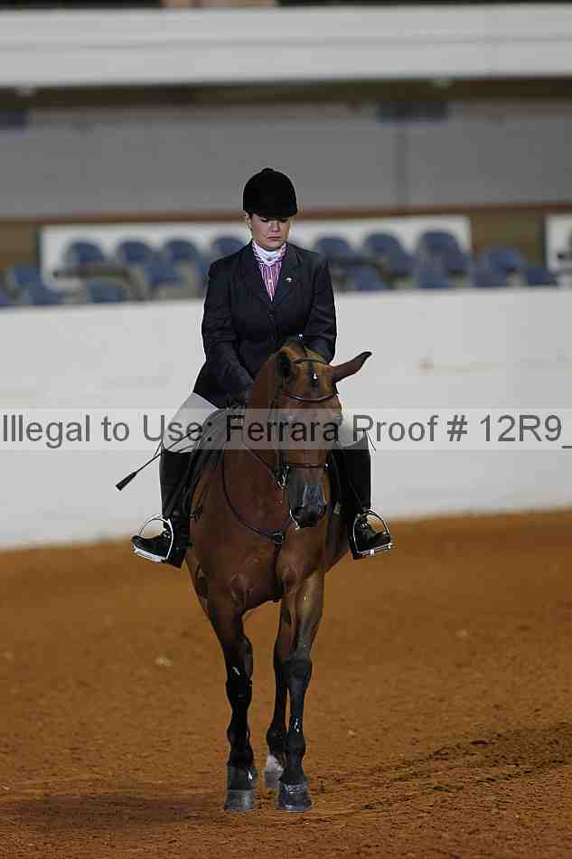 Proof Number 12r9_1745