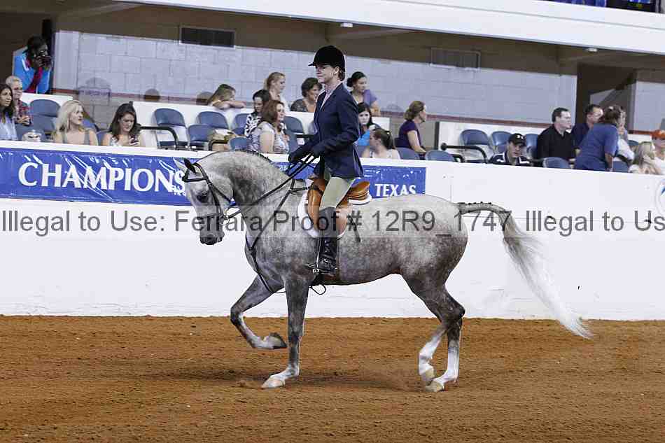 Proof Number 12r9_1747