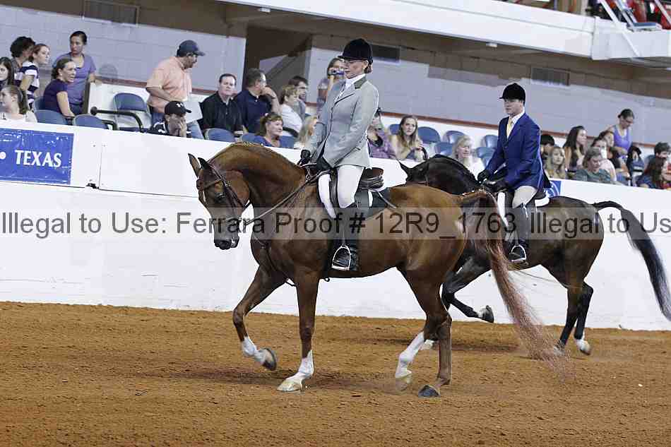 Proof Number 12r9_1763