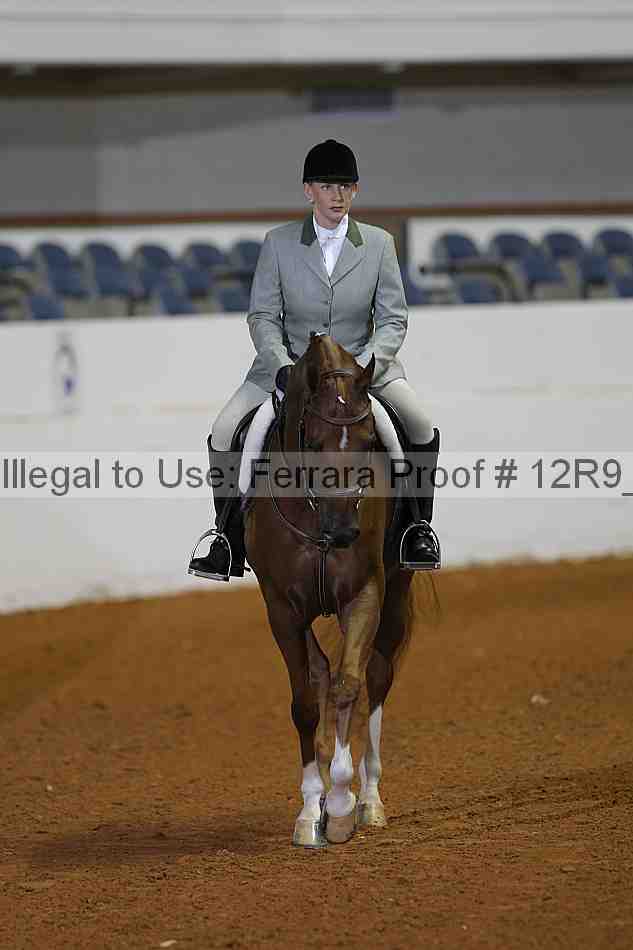 Proof Number 12r9_1770