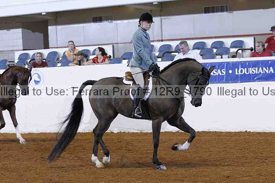 Proof Number 12r9_1790