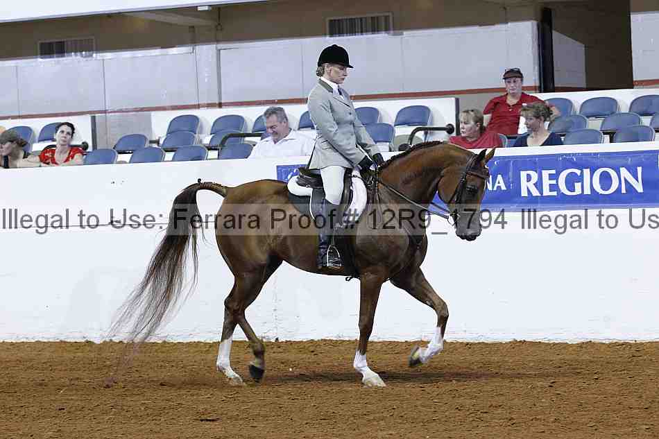 Proof Number 12r9_1794