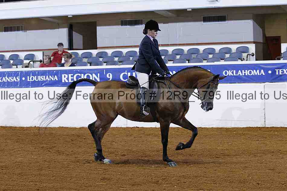 Proof Number 12r9_1795
