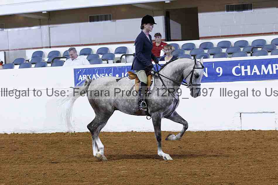 Proof Number 12r9_1797