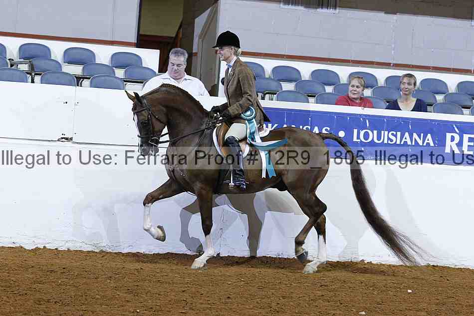 Proof Number 12r9_1805